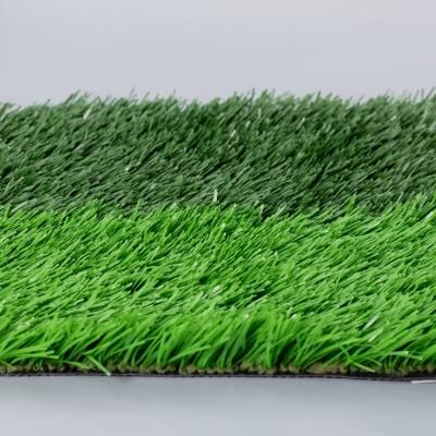 Soccer field turf